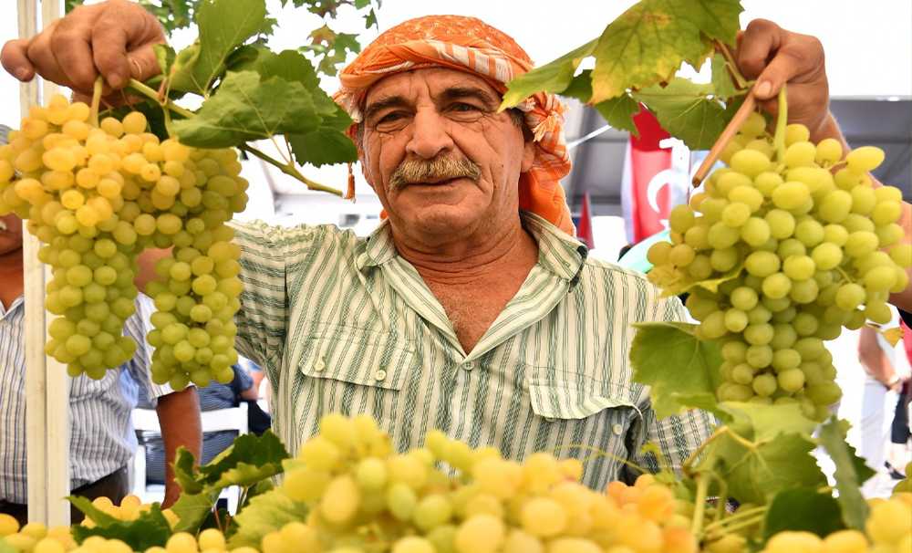 Urla’da 2600 yıllık gelenek; Bağbozumu Şenlikleri başlıyor