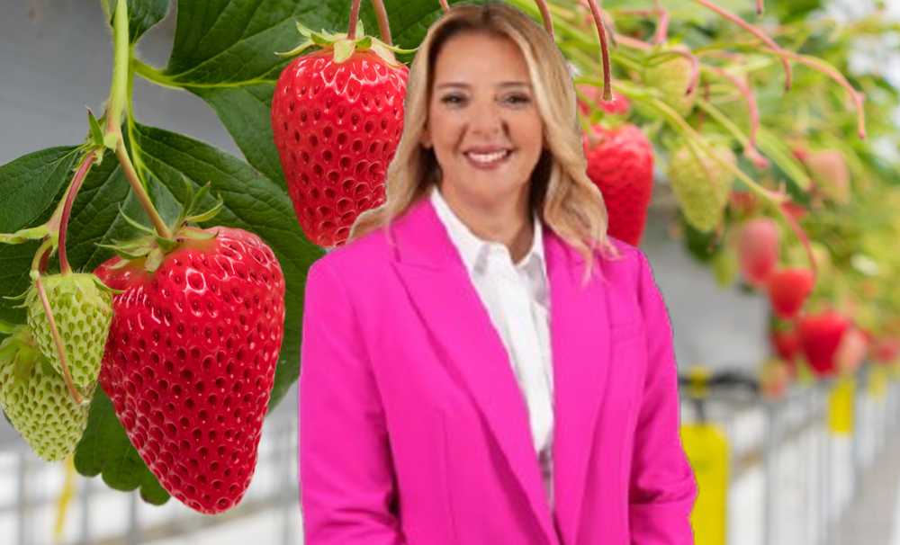 Elara Tarım Akıllı Serada Yeni Dönem 