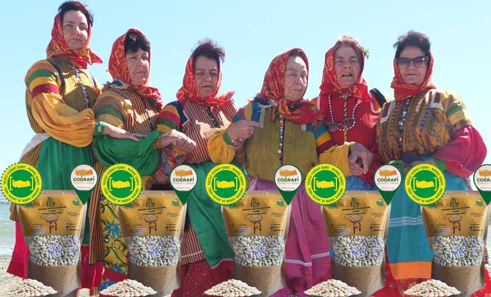 MANYAS KAZAK FASULYESİ: BİR TARİHİ MİRAS