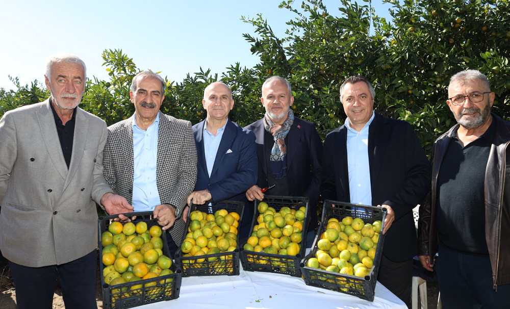 Satsuma Mandalinasının İhracat Yolculuğu Başladı