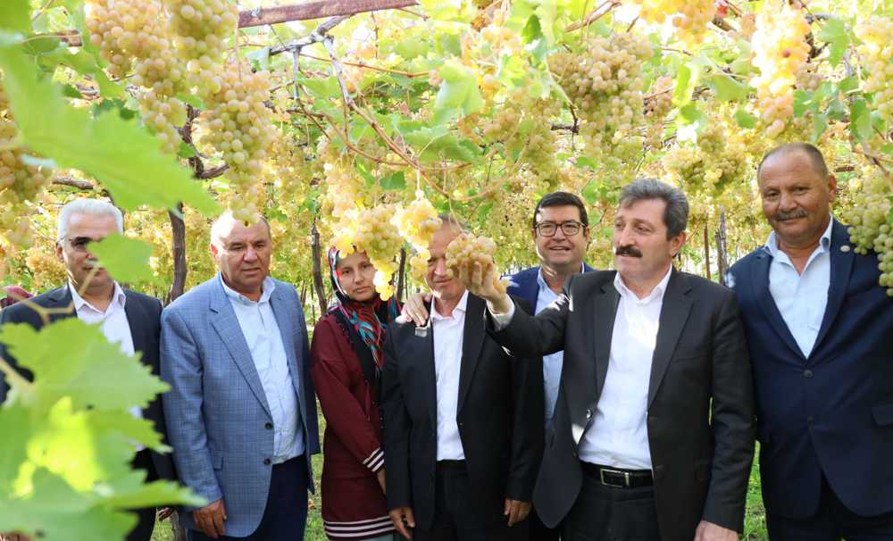Üzümler Gelin Oldu!