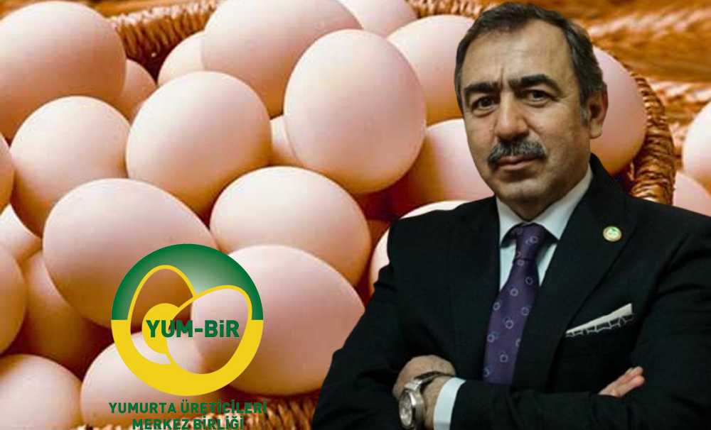 Yumurta Üretiminde Son 3 Yılın Rekoru 