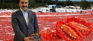 Kuru domates ihracatı 100 milyon doları aştı